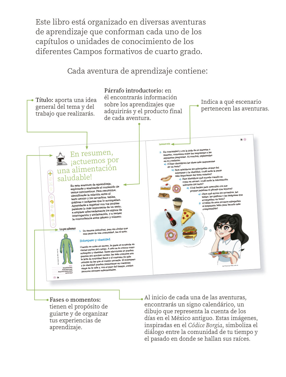 Libro De Proyectos De Aula Cuarto Grado Primaria