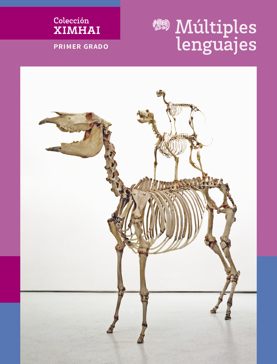 Portada de Múltiples lenguajes