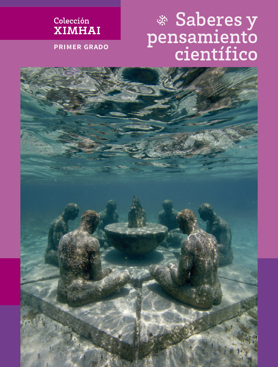 Portada de Saberes y pensamiento científico