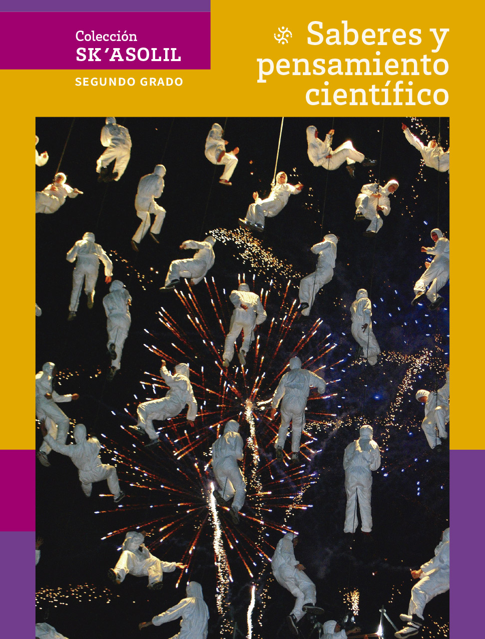 Portada de Saberes y pensamiento científico