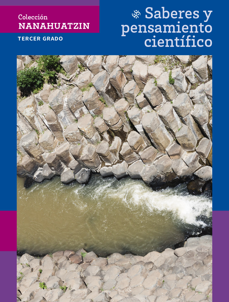 Portada de Saberes y pensamiento científico