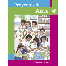Proyectos de Aula. 