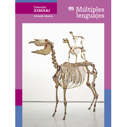 Colección Ximhai. Múltiples lenguajes. 