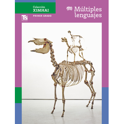 Colección Ximhai. Múltiples lenguajes. 