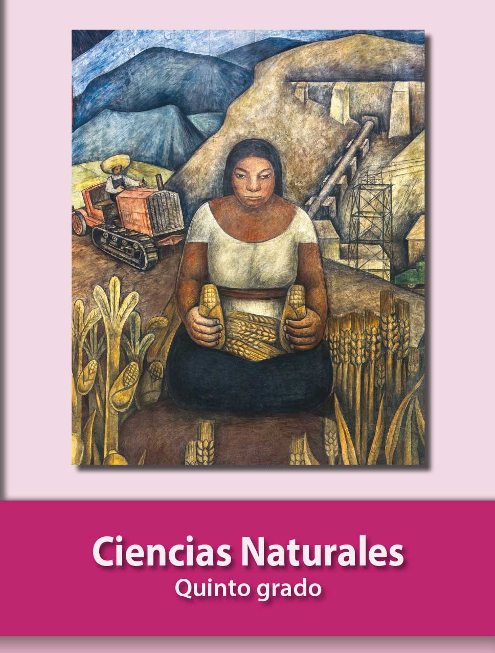 Ciencias Naturales Libro De Primaria Grado 5 Comision Nacional De Libros De Texto Gratuitos