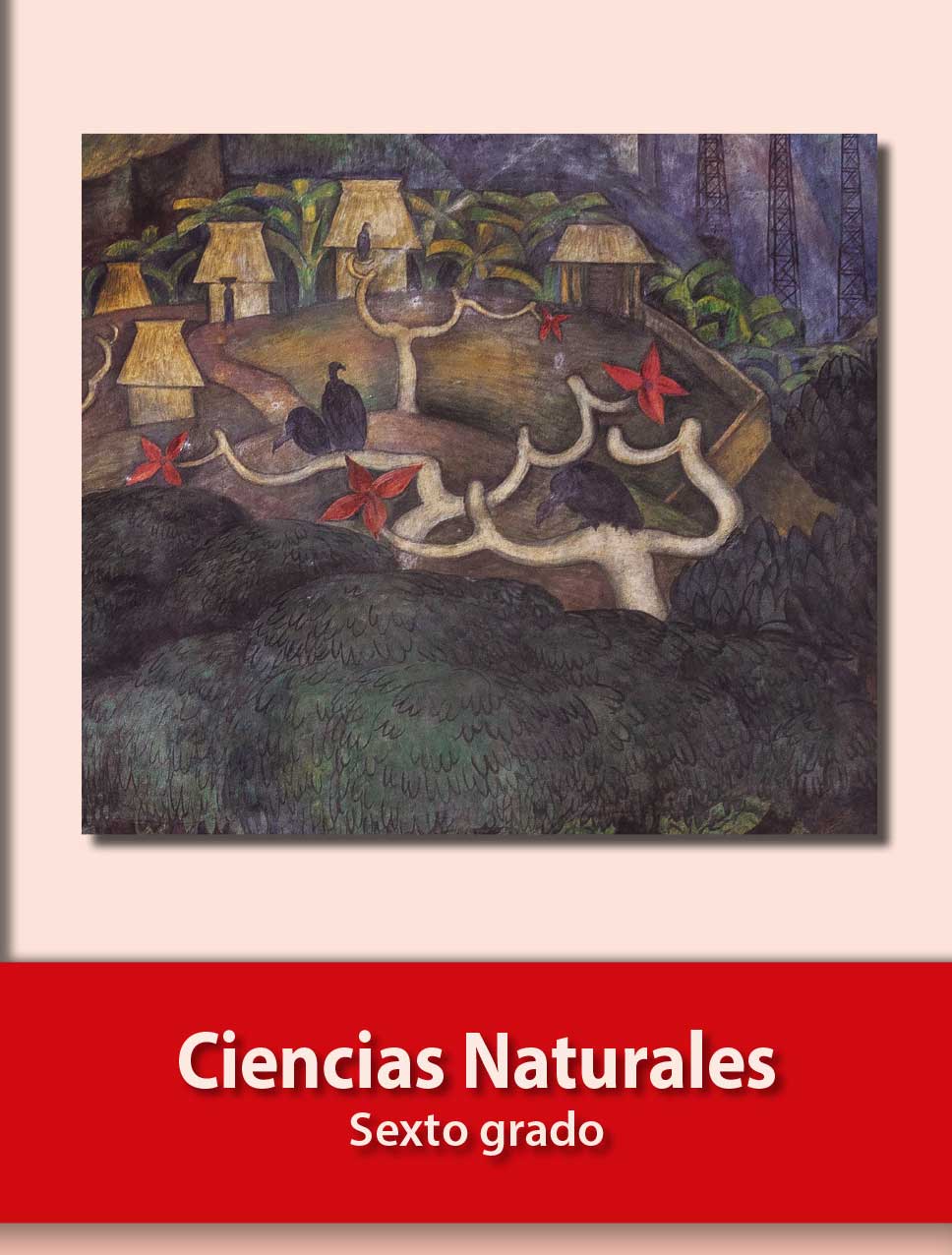 Libro De Ciencias Naturales 6 Grado 2018 A 2019 Sep ...